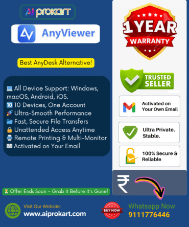 AnyViewer Pro